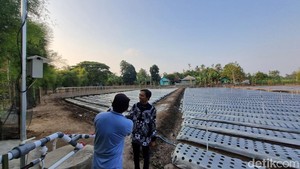 Kembangkan Pertanian Canggih Pakai AI, Pleret Bantul Habis Rp 67 Juta