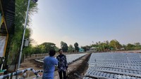 Potret Pertanian Canggih Pakai AI di Pleret Bantul