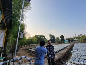 Potret Pertanian Canggih Pakai AI di Pleret Bantul