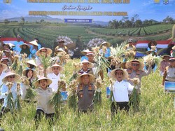Kemenko Pangan Bakal Gandeng Banyak Pihak untuk Genjot Produksi Bawang Putih