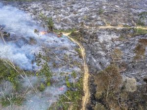 Sejarah Karhutla Jambi 20 Tahun Terakhir, 2015-2019 Jadi Bencana Asap Terburuk