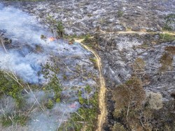 Sejarah Karhutla Jambi 20 Tahun Terakhir, 2015-2019 Jadi Bencana Asap Terburuk