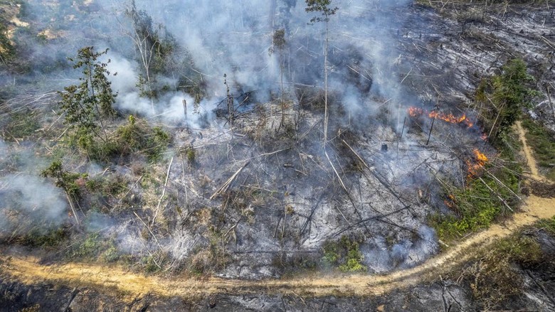 Instruksi Tito ke Kepala Daerah: Larang Buka Lahan dengan Cara Membakar