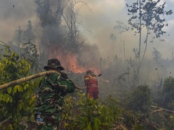 Video Anggota Komisi IV DPR Minta Karhutla Kalimantan Jadi Bencana Nasional