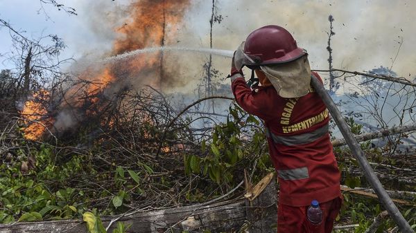 4 Hektare Lahan di Batang Hari Terbakar, Petugas Berjibaku Padamkan Api