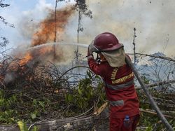 3 Hambatan Ini Bikin Api Karhutla Sulit Dipadamkan