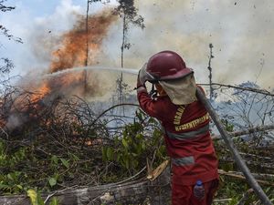 4 Hektare Lahan di Batang Hari Terbakar, Petugas Berjibaku Padamkan Api