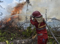 3 Hambatan Ini Bikin Api Karhutla Sulit Dipadamkan