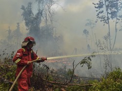 Banyak Penerbangan Dibatalkan Imbas Karhutla Kalimantan