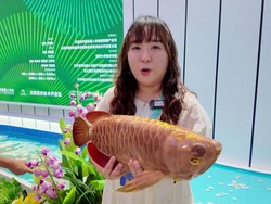 Video: Keren Banget! Robot Ikan Bionik Bisa Navigasi Sendiri