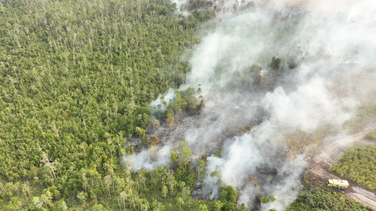 BPBD berbareng tim campuran berupaya memadamkan karhutla di Kabupaten Bulungan, Provinsi Kalimantan Utara, Selasa (18/8/2026). (Dok. BPBD Kabupaten Bulungan)