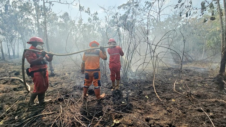 Karhutla di OKI Capai 85 Hektare, Satgas Gabungan Upayakan Pemadaman