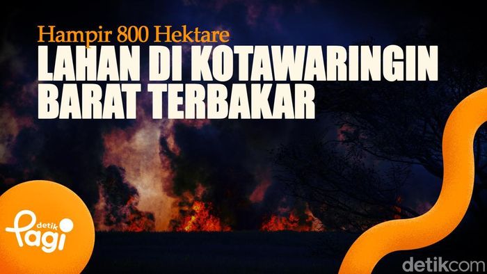 Video: Hampir 800 Hektare Lahan di Kotawaringin Barat Terbakar