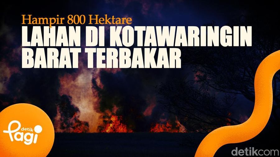 Video: Hampir 800 Hektare Lahan di Kotawaringin Barat Terbakar