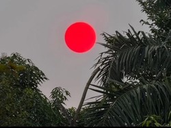 Heboh Matahari Merah Pekat di Palangka Raya, Unik tapi Mengkhawatirkan