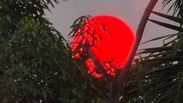 Alasan Matahari Jadi Merah Saat Karhutla Menurut Pakar