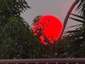 Alasan Matahari Jadi Merah Saat Karhutla Menurut Pakar