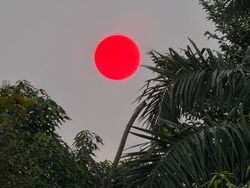 Melihat Matahari Merah untuk Pertama Kalinya: Kami Tunggu Sampai Tenggelam