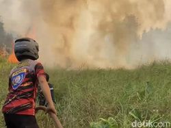 Waka Komisi IX DPR Usul Status KLB Jika ISPA Akibat Karhutla Memburuk