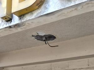 Kantor PWI Sumut 3 Kali Dibobol Maling, Polrestabes Didesak Tangkap Pelaku