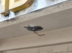 Kantor PWI Sumut 3 Kali Dibobol Maling, Polrestabes Didesak Tangkap Pelaku