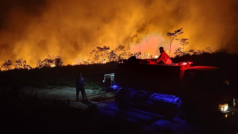 Sebaran Karhutla di Kaltim: 413 Titik, 936 Hektare Lahan Terbakar