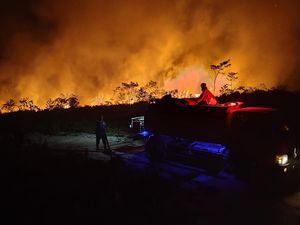 Hotspot Karhutla di Kalimantan Meningkat 4 Kali Lipat dalam Sehari
