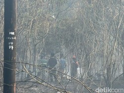Polri Ungkap Modus 72 Tersangka Karhutla: Sengaja Bakar demi Biaya Murah