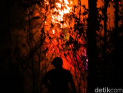 Karhutla Kalimantan Disorot Dunia, Asap dan Emisi Meningkat