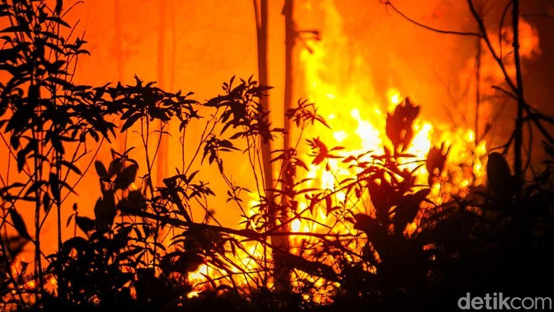 Berawal Dipergoki Bocah, Dua Pelaku Karhutla di Palangkaraya Ditangkap