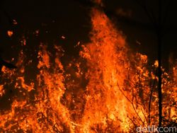 Pray For Kalimantan, Peta Satelit Kebakaran di Borneo