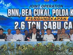 Kepala BNN Rekomendasikan Larangan Total Vape: Narkotika Sudah Berevolusi