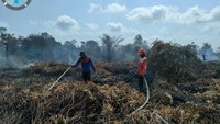 Total Luas Karhutla di Indonesia 72.798 Ha, Paling Besar di Kalbar