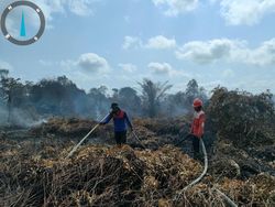 KJRI: Asap Dampak Karhutla Kalimantan Cemari Kualitas Udara di Sarawak