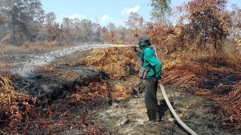 3.759 Hotspot Terdeteksi di Kalbar, Hampir Separuhnya di Ketapang