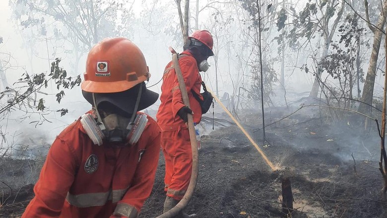 Karhutla Kalimantan, Pemerintah Kerahkan 12 Ribu Petugas hingga Buat Sumur Bor