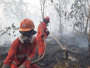 Karhutla, Komisi VIII DPR Singgung Revisi UU Penanggulangan Bencana