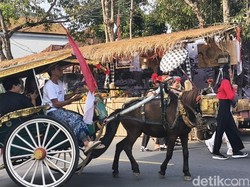 Kenalkan Transportasi Tempo Dulu, Pengunjung Bulfest Bisa Naik Dokar Gratis