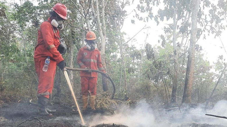 Tangani Karhutla Kalimantan, Pemerintah Modifikasi Cuaca-Tambah Pesawat