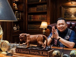 Mendorong Generasi Muda Adaptasi dengan Perubahan Lanskap Dunia Kerja