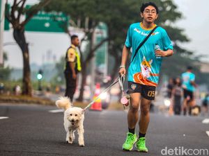 Jogging Bareng Anabul Jadi Momen Seru Perkuat Bonding