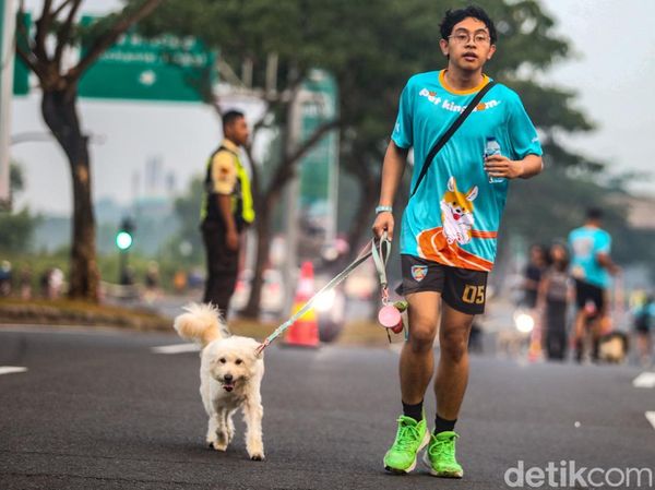 Jogging Bareng Anabul Jadi Momen Seru Perkuat Bonding