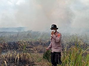 Kebakaran di Taman Nasional Way Kambas Belum Bisa Dipadamkan