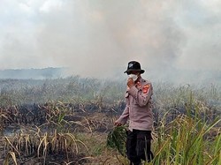 Kebakaran di Taman Nasional Way Kambas Belum Bisa Dipadamkan