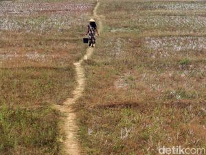 Puncak Kemarau Jatim Agustus-September, Ini Imbauan BMKG