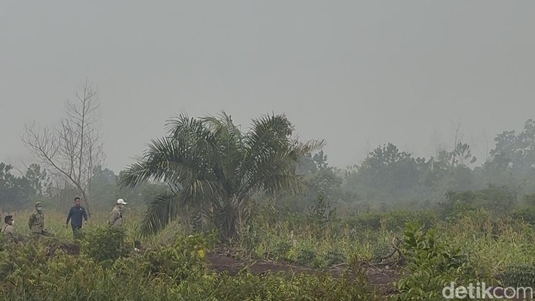 Langit Putih Gelap dan Aroma Bakaran Daun Menyengat di Sungai Raya Kalbar