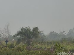 Langit Putih Gelap dan Aroma Bakaran Daun Menyengat di Sungai Raya Kalbar
