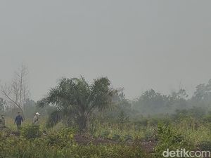 Langit Putih Gelap dan Aroma Bakaran Daun Menyengat di Sungai Raya Kalbar