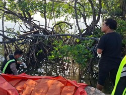 Mayat Pria Tanpa Identitas Ditemukan Mengapung di Pohon Bakau Kendari