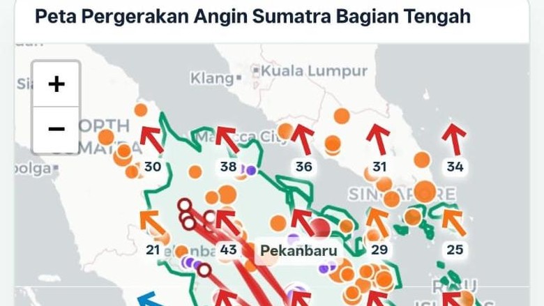Menteri LH: Asap Karhutla di Kampar Riau Kiriman dari Jambi